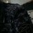Kirill_Alexandrov